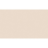 Обои флизелиновые Belvinil Соната-фон 0309-61 Х 9 бежевые 1.06 м