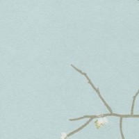 Обои флизелиновые York Wallcoverings Special Effects II голубые SE1869 0.68 м