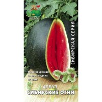 Семена Арбуз «Сибирские огни»