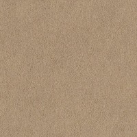 Обои флизелиновые Rasch African Queen коричневые 0.53 м 422696