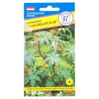 Клещевина «Занзибарская»
