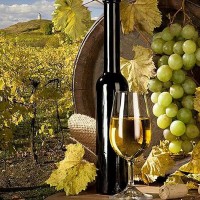 Фотообои Divino Decor Вино C-305 200х147 см