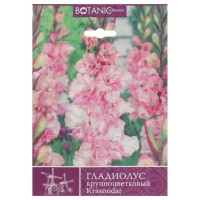 Гладиолус крупноцветковый «Краснодар»