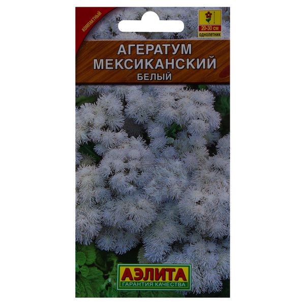 Агератум мексиканский белый