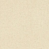 Обои флизелиновые Rasch Globe бежевые 1.06 м 939101