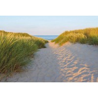 Фотообои Komar Sandy Path 8-995 368х254 см
