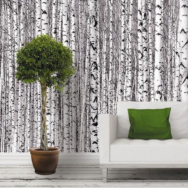 Фотообои Urban Style Березоньки UST0255 200х270 см