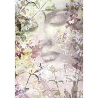 Фотообои Komar Alle Ergebnisse Sense XXL2-065 184х248 см