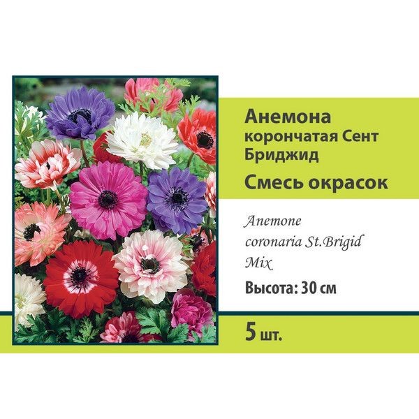 Анемона корончатая Сент Бриджид микс луковица 5/6