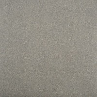 Линолеум «Сириус Соната 65» 32 класс 2.5 м