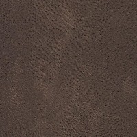 Обои флизелиновые Rasch African Queen коричневые 0.53 м 423617