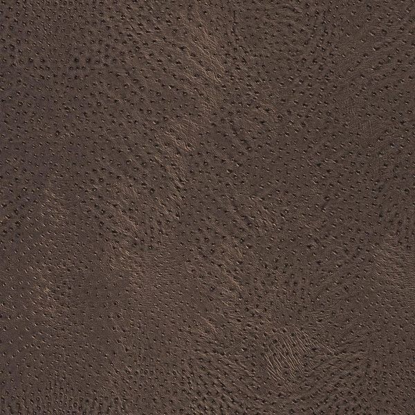 Обои флизелиновые Rasch African Queen коричневые 0.53 м 423617