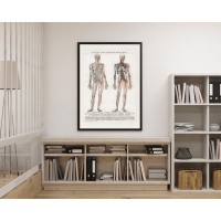 Плакат "34;Просто Постер "34; Строение человека 90x120 в подарочном тубусе 872084637521