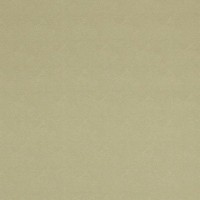 Обои виниловые BN INTERNATIONAL Indian Summer зеленые 218573