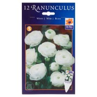 Лютик «Белый»