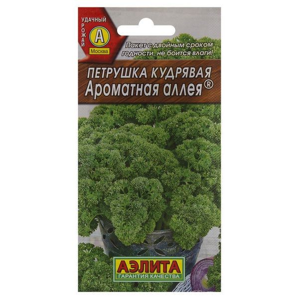 Семена Петрушка кудрявая «Ароматная аллея»