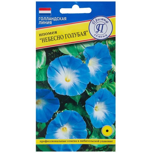 Ипомея «Небесно-голубая»