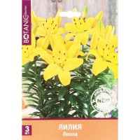 Лилия «Леола»