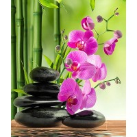 Фотообои Divino Decor Дзен C-393 200х238 см