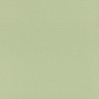 Обои флизелиновые Rasch Lazy Sunday II зелёные 0.53 м 401851