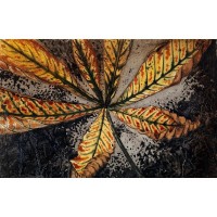Плакат "34;Просто Постер "34; Лист каштана 90x120 в подарочном тубусе 350851619321