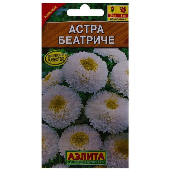 Астра «Беатричи»