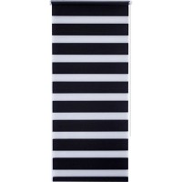 Штора рулонная день-ночь Miamoza Silver 60x160 см, цвет графит