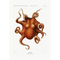 Плакат "34;Просто Постер "34; Осьминог 90x120 в подарочном тубусе 703398274461