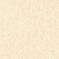 Обои виниловые Aura Texture World бежевые 0.53 м H2991702
