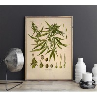 Плакат "34;Просто Постер "34; Марихуана 50x70 в подарочном тубусе 496469056205