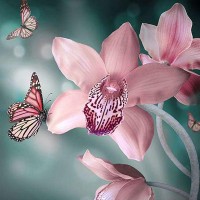 Фотообои Divino Decor Бабочки A-046 300х238 см