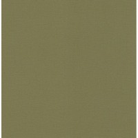 Обои флизелиновые Rasch Denzo ll зеленые 452068 0.53 м
