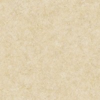 Обои виниловые Aura Silks & Textures бежевые 0.53 м NT33723