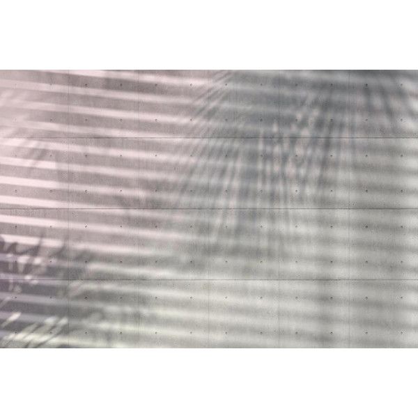 Фотообои Komar Shadow XXL4-059 368х248 см