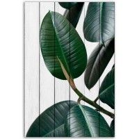 Картина Дом Корлеоне Фикус 60х90 см