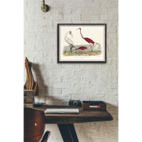 Плакат "34;Просто Постер "34; Виды птиц 90x120 в подарочном тубусе 110591841411