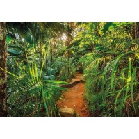 Фотообои Komar Jungle Trail 8-989 368х254 см