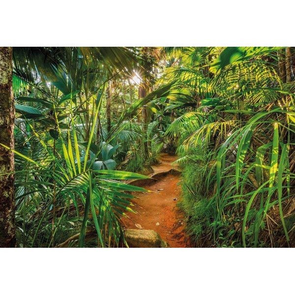 Фотообои Komar Jungle Trail 8-989 368х254 см