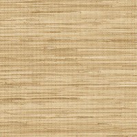 Обои виниловые Aura Silks & Textures бежевые 0.53 м NT33704