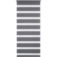 Штора рулонная день-ночь Miamoza Silver 60x160 см, цвет серый