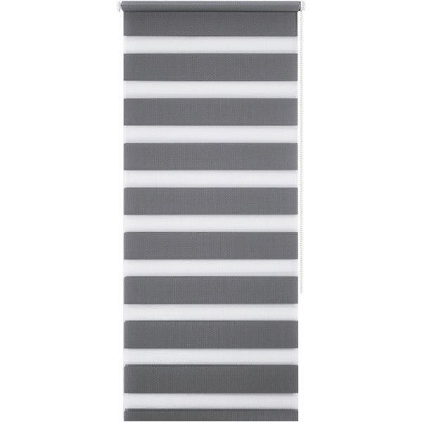 Штора рулонная день-ночь Miamoza Silver 60x160 см, цвет серый