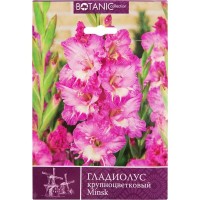 Гладиолус крупноцветковый «Минск»