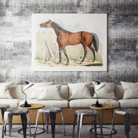 Плакат "34;Просто Постер "34; Темно-коричневая лошадь 90x120 в подарочном тубусе 658635546261