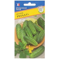 Семена Огурец «Регал» F1
