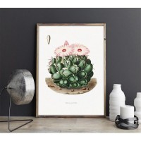 Плакат "34;Просто Постер "34; Пустынный кактус 90x120 в подарочном тубусе 936691378761