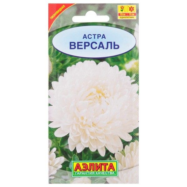 Астра пионовидная «Версаль»