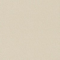 Обои флизелиновые Rasch Gentle Elegance 2016 бежевые 0.53 м 724035
