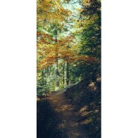 Фотообои WonderWall фактура Песок 372 131х280 см