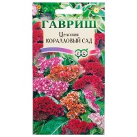 Целозия гребенчатая «Коралловый сад»