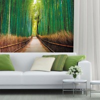 Фотообои Urban Style Бамбуковая роща UST0509 200х180 см